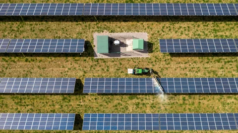 4029 Module Cleaning Grass Cutting 11