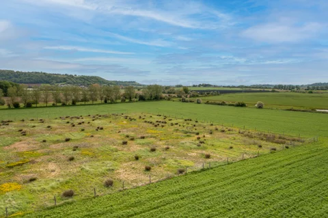BSR SHEPTON MALLET 9