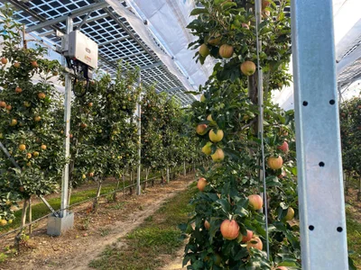 Solar Panel Technology
