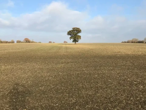 Knowl Green