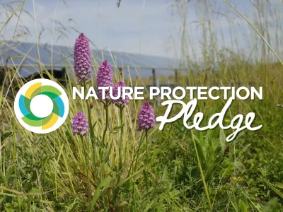 News Feed Nature Protection Pledge