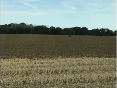 Park Farm Solar Park 768x1021