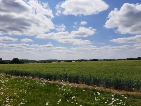 Tewes Farm 1