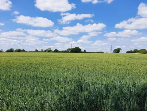 Tewes Farm 2