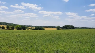Tewes Farm 4