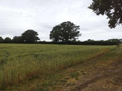 Town Farm