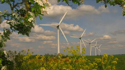 Wind energy farm