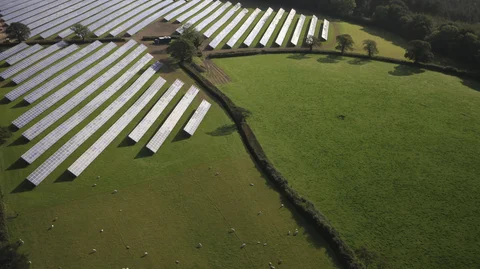 Wyld Meadow 2021 07 30 091910 gttu