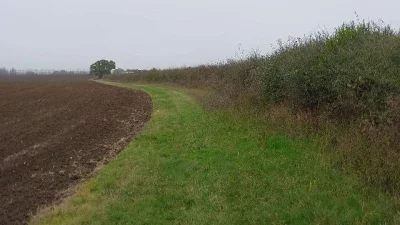 Bramble hall 2