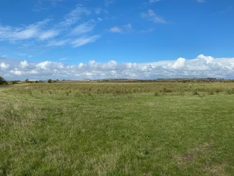 Elmley 2