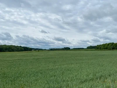 Hooton pagnell 3